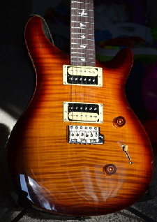 PRS-SE-DSC_0202